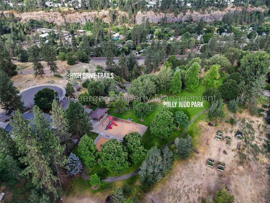 Spacious South Hill Home with Primary Suite and Beautiful Fenced Backyard - Image 28